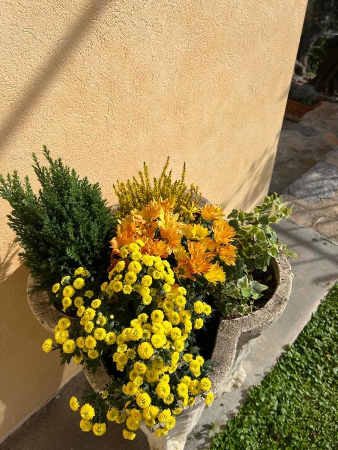 Agriturismo Le Merline Arnasco Exterior photo